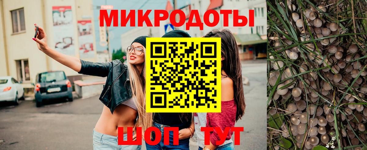 Архангельск  Галлюциногенные грибы Psilocybine cubensis  Вход с VPN 